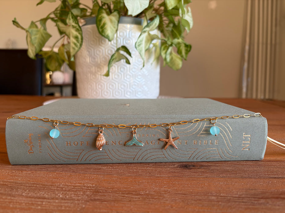 Coastal Collection Book Chains