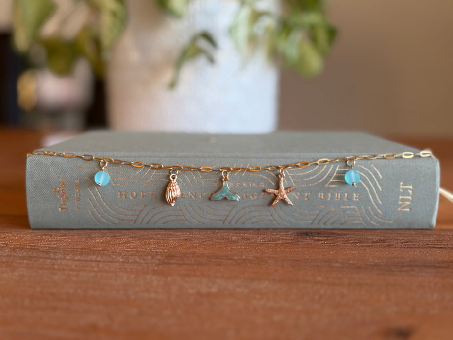 Coastal Collection Book Chains