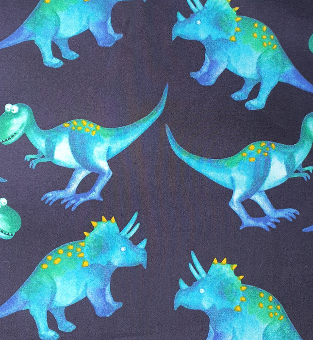 Deluxe Swim Bag - Steggy Rex